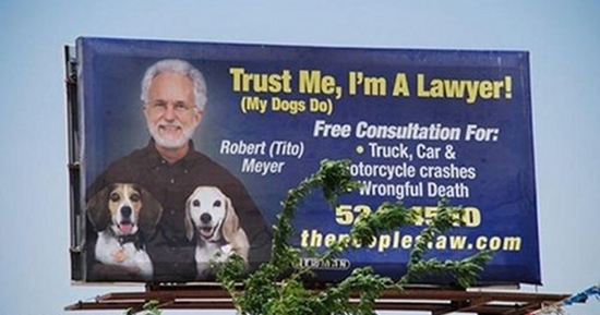 Dog Lawyer 550X289 Dog Lawyer 550X289